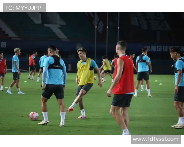 南京足球队总决赛表现分析:意识与战术的完美结合与不足之处 南京足球队总决赛表现分析:意识与战术的完美结合与不足之处