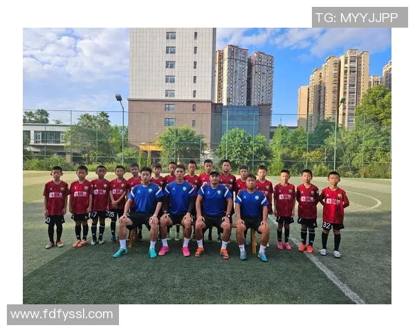 南京足球队在挑战赛中的战术表现分析与评估 南京足球队在挑战赛中的战术表现分析与评估